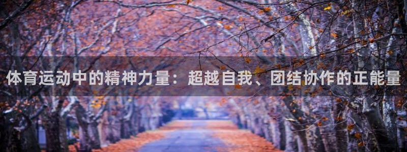3377体育官网下载娱乐：体育运动中的精神力量：超越