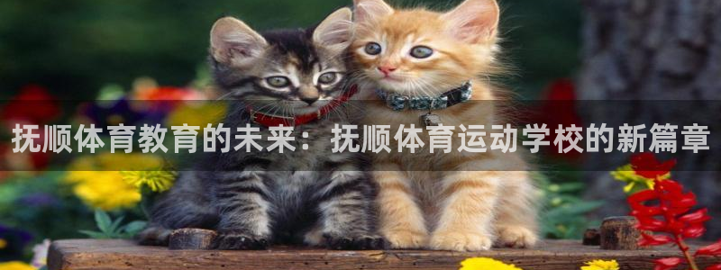 3377体育官方正版app娱乐：抚顺体育教育的未来：