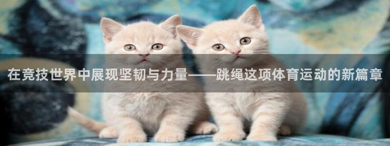 3377体育官网下载招商电话号码：在竞技世界中展现坚