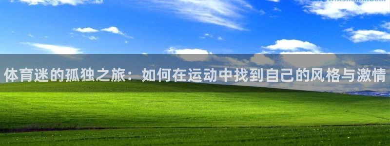 3377体育官网下载平台注册：体育迷的孤独之旅：如何