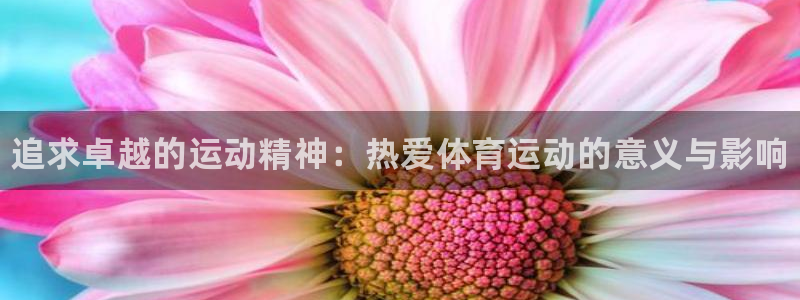 3377体育官网下载：追求卓越的运动精神：热爱体育运
