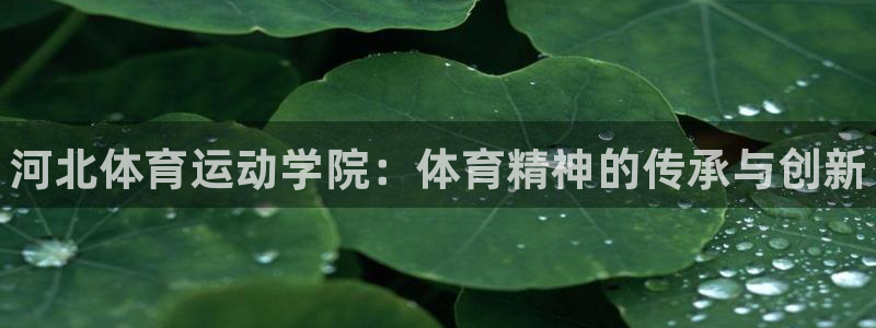 3377体育官方正版app神州：河北体育运动学院：体