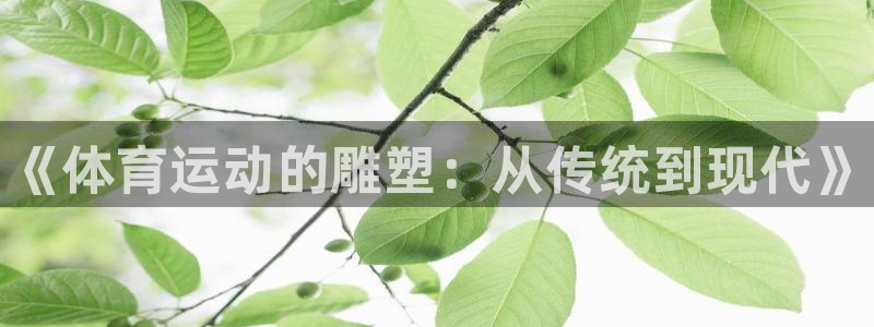 3377体育官网下载官方客服电话：《体育运动的雕塑：从传统到