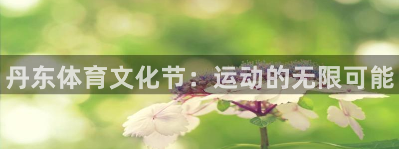 3377体育官方正版app集团