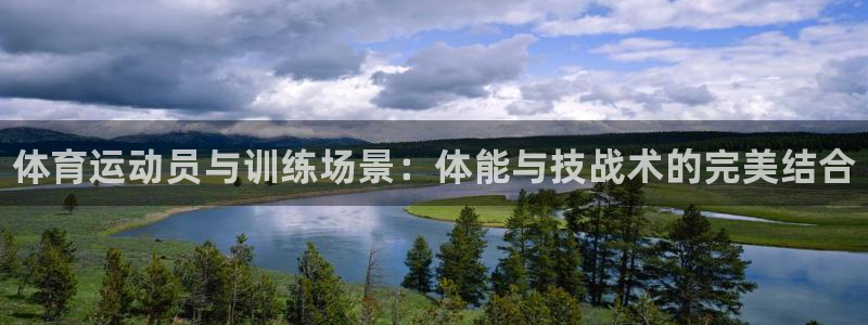 3377体育官网下载招商电话地址是多少