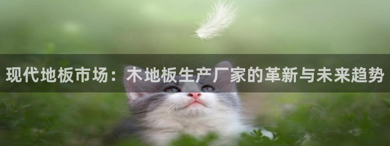 3377体育官网下载平台注册要钱吗是真的吗：现代地板