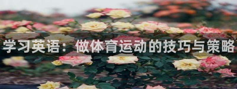 3377体育官方正版app五金厂：学习英语：做体育运