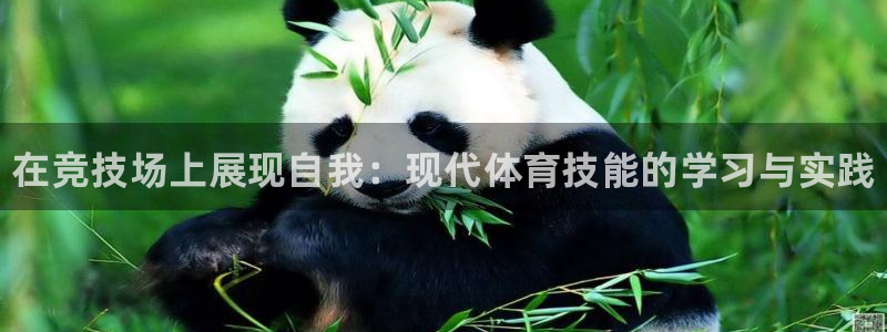 3377体育官方正版app科技：在竞技场上展现自我：