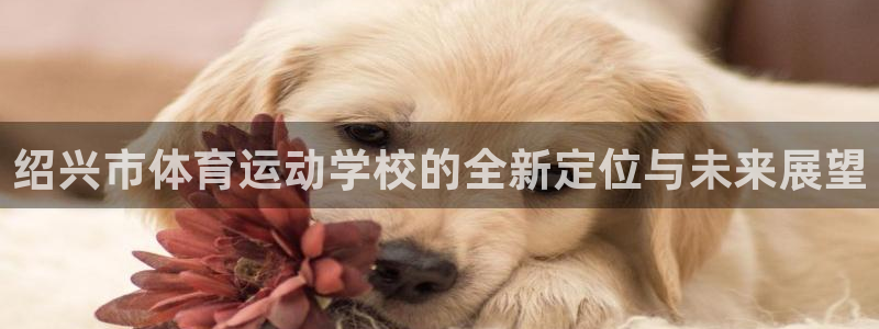 3377体育官网下载招商电话地址是多少：绍兴市体育运动学校的