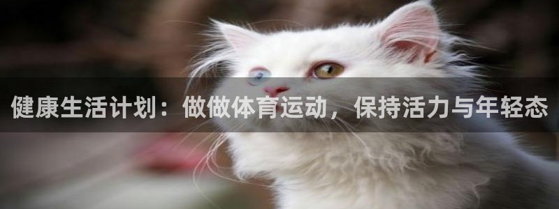 3377体育官方平台体育：健康生活计划：做做体育运动