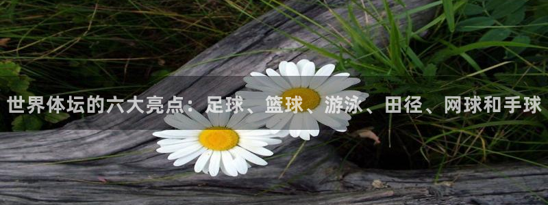 3377体育官方集团官网：世界体坛的六大亮点：足球、