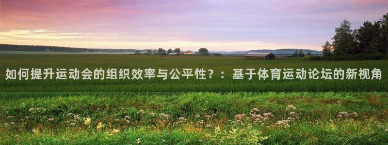 3377体育官网下载平台是正规平台吗：如何提升运动会