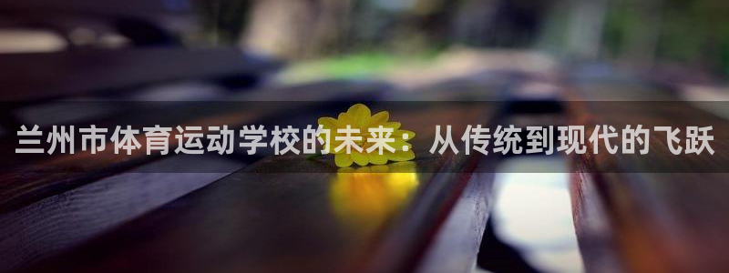 3377体育官方正版app新能源：兰州市体育运动学校