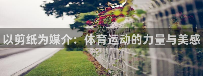 3377体育官网下载：以剪纸为媒介：体育运动的力量与