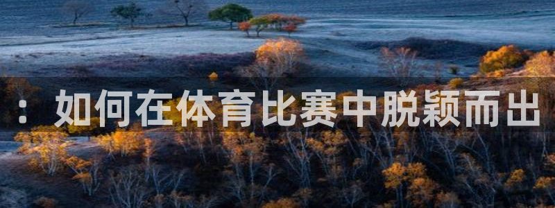 3377体育官网下载招商电话号码是多少啊：：如何在体