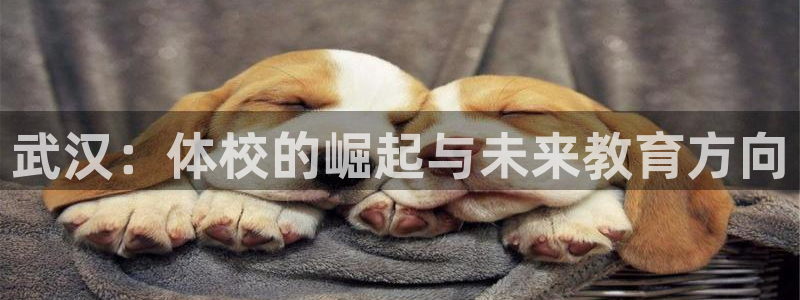 3377体育官方正版app神州：武汉：体校的崛起与未