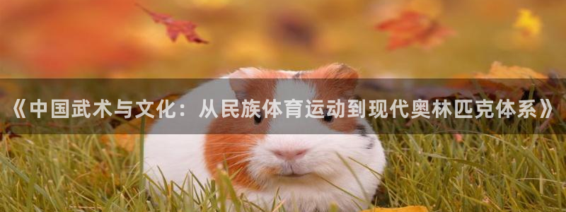3377体育官方正版app娱乐40996：《中国武术