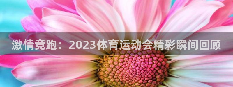 3377体育官网下载开户：激情竞跑：2023体育运动
