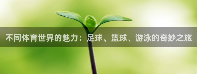 3377体育官方正版app娱乐网站：不同体育世界的魅