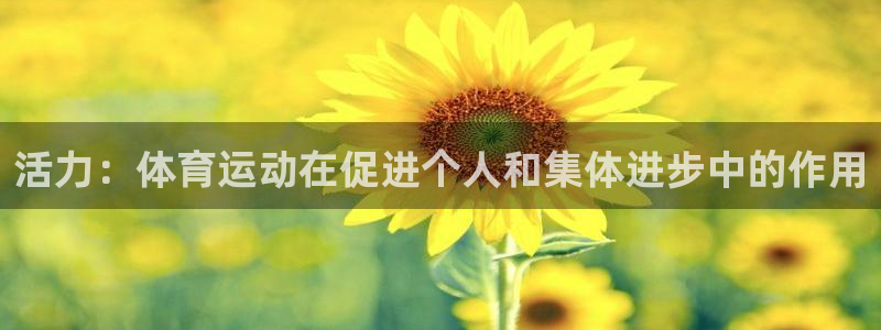 3377体育官方正版app集团logo：活力：体育运