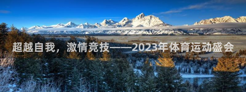 3377体育官方正版app神州：超越自我，激情竞技——202