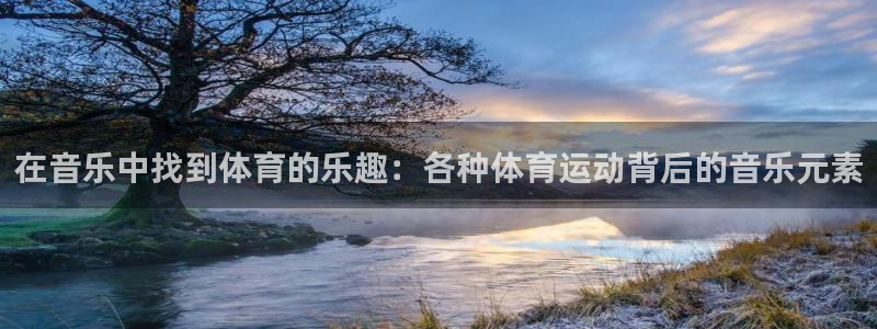 3377体育官方正版app集团官网网址：在音乐中找到体育的乐