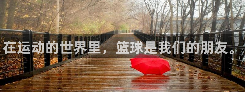 3377体育官方平台体育：在运动的世界里，篮球是我们的朋友。