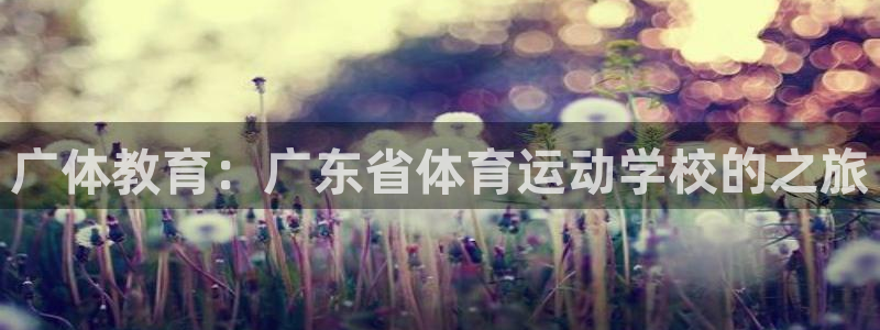 3377体育官网下载平台APP