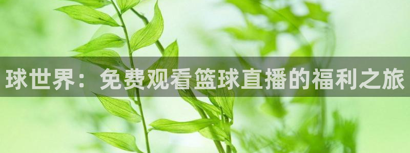 黑白直体育直播：球世界：免费观看篮球直播的福利之旅