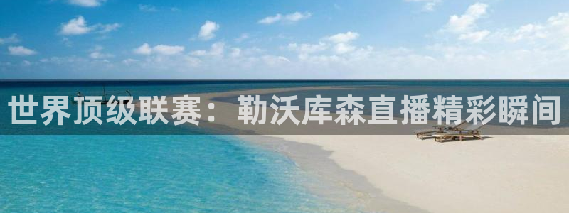 黑白体育nba篮球直播：世界顶级联赛：勒沃库森直播精彩瞬间